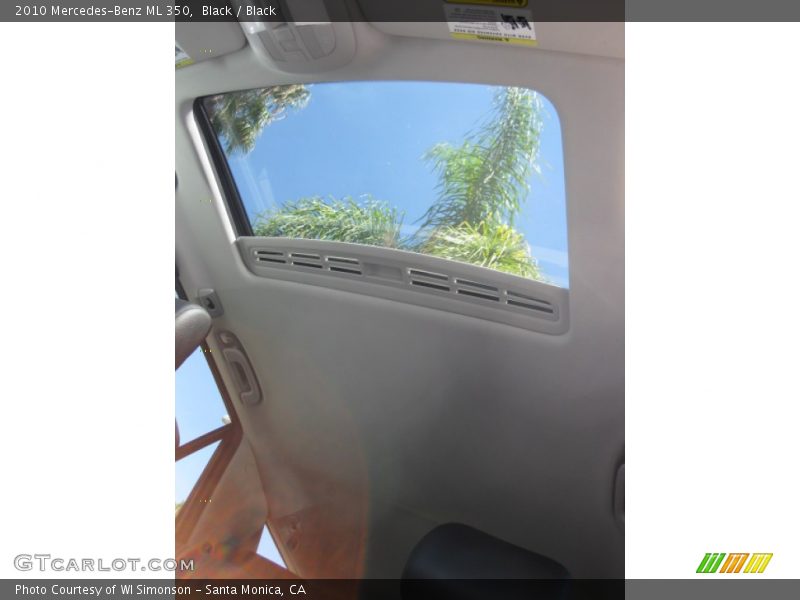 Black / Black 2010 Mercedes-Benz ML 350