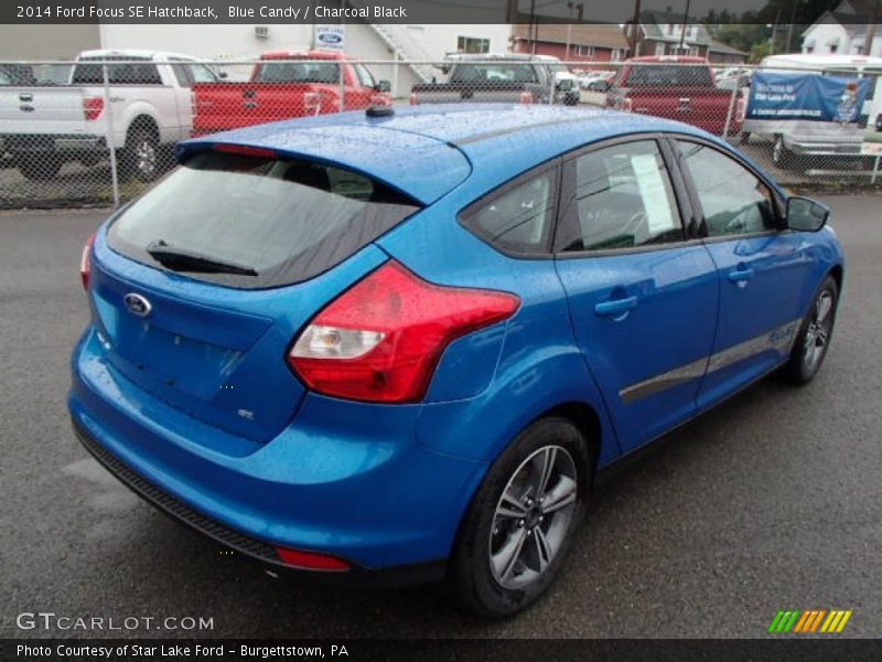 Blue Candy / Charcoal Black 2014 Ford Focus SE Hatchback