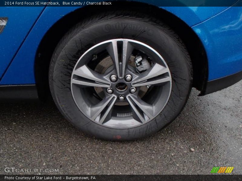 Blue Candy / Charcoal Black 2014 Ford Focus SE Hatchback