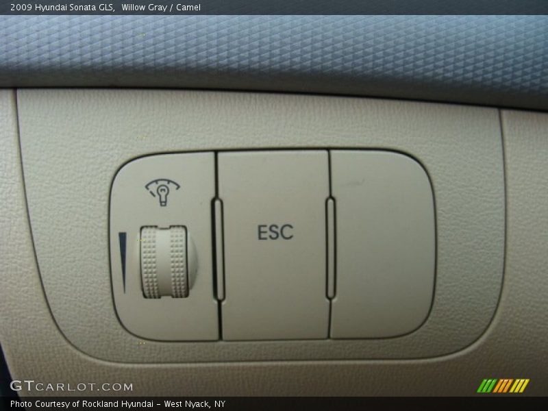 Willow Gray / Camel 2009 Hyundai Sonata GLS