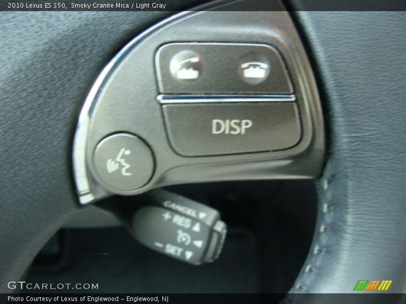 Smoky Granite Mica / Light Gray 2010 Lexus ES 350