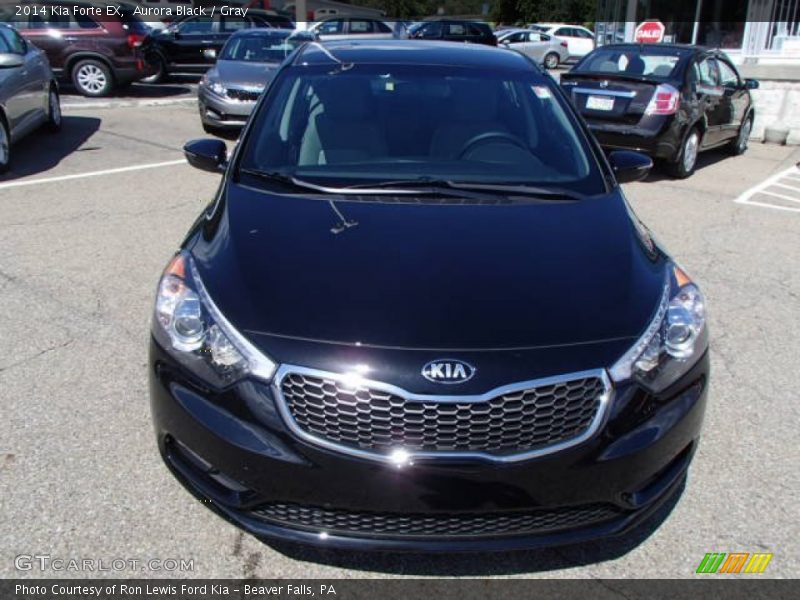 Aurora Black / Gray 2014 Kia Forte EX
