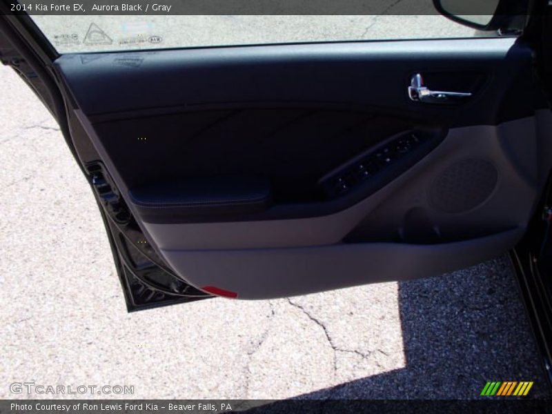 Aurora Black / Gray 2014 Kia Forte EX