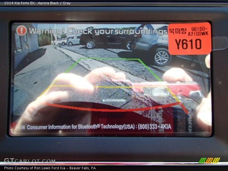 Aurora Black / Gray 2014 Kia Forte EX