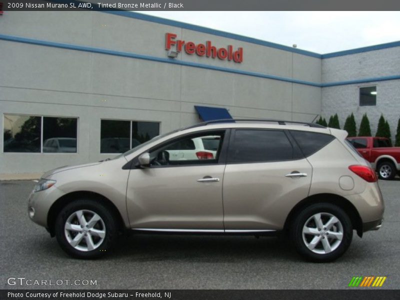 Tinted Bronze Metallic / Black 2009 Nissan Murano SL AWD