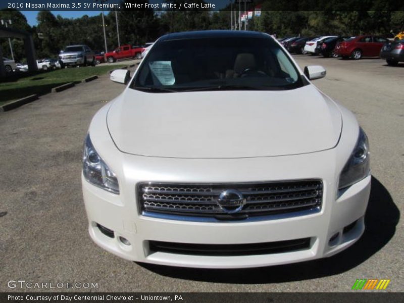 Winter Frost White / Caffe Latte 2010 Nissan Maxima 3.5 SV Premium