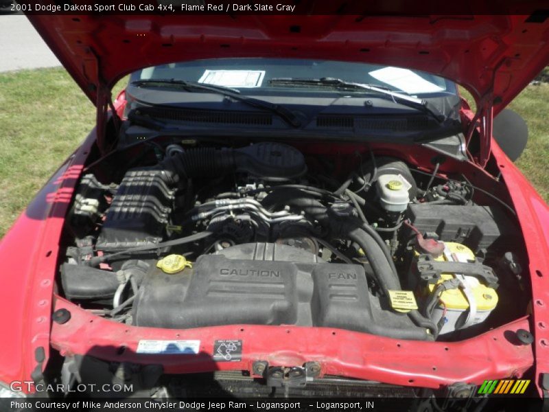 Flame Red / Dark Slate Gray 2001 Dodge Dakota Sport Club Cab 4x4