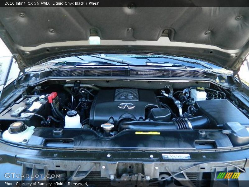 Liquid Onyx Black / Wheat 2010 Infiniti QX 56 4WD