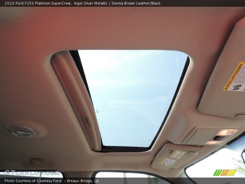 Ingot Silver Metallic / Sienna Brown Leather/Black 2010 Ford F150 Platinum SuperCrew