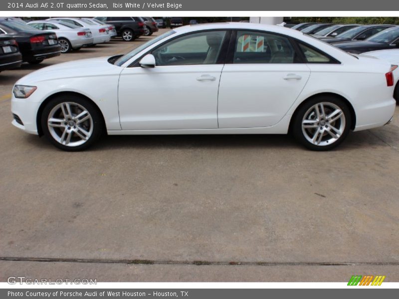 Ibis White / Velvet Beige 2014 Audi A6 2.0T quattro Sedan
