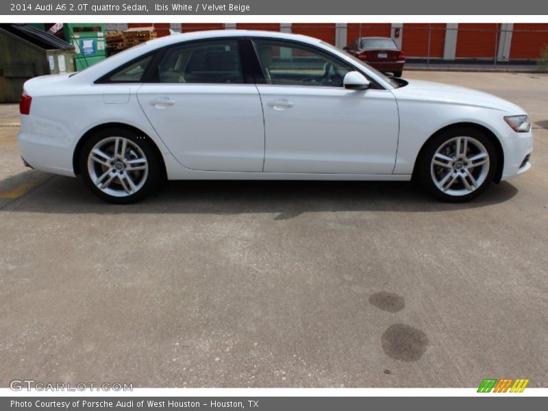 Ibis White / Velvet Beige 2014 Audi A6 2.0T quattro Sedan