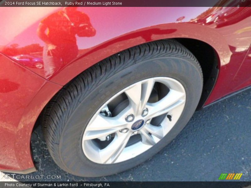 Ruby Red / Medium Light Stone 2014 Ford Focus SE Hatchback