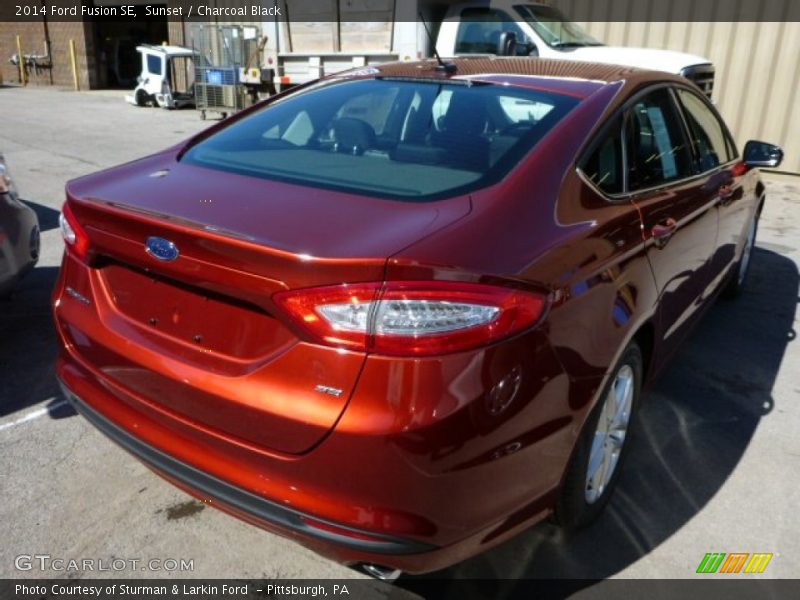  2014 Fusion SE Sunset