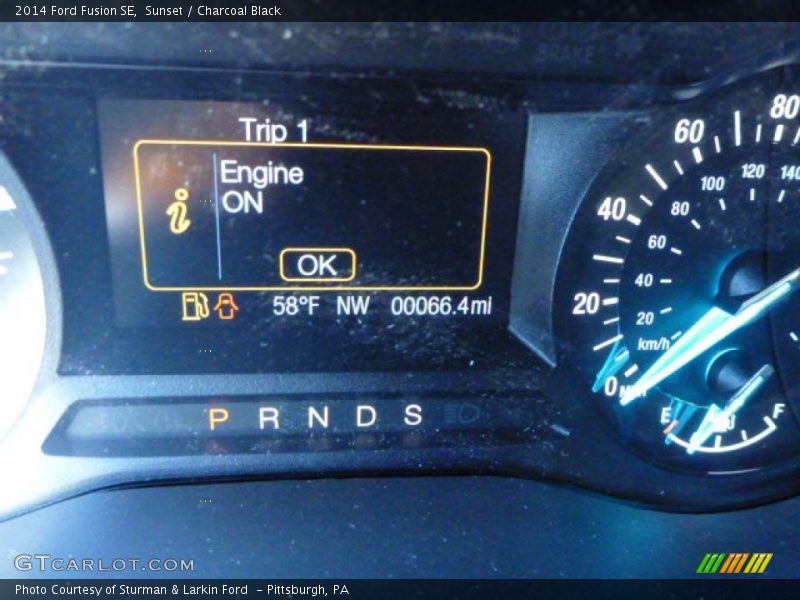 Sunset / Charcoal Black 2014 Ford Fusion SE