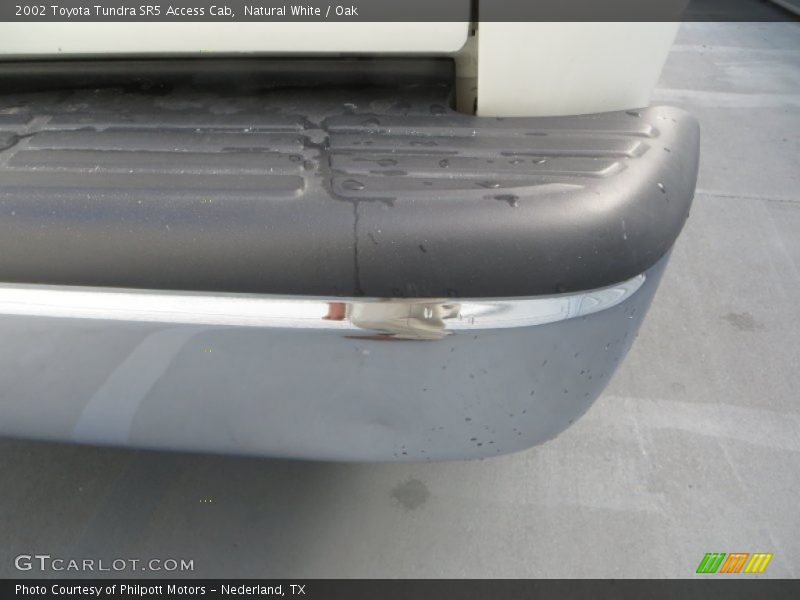 Natural White / Oak 2002 Toyota Tundra SR5 Access Cab