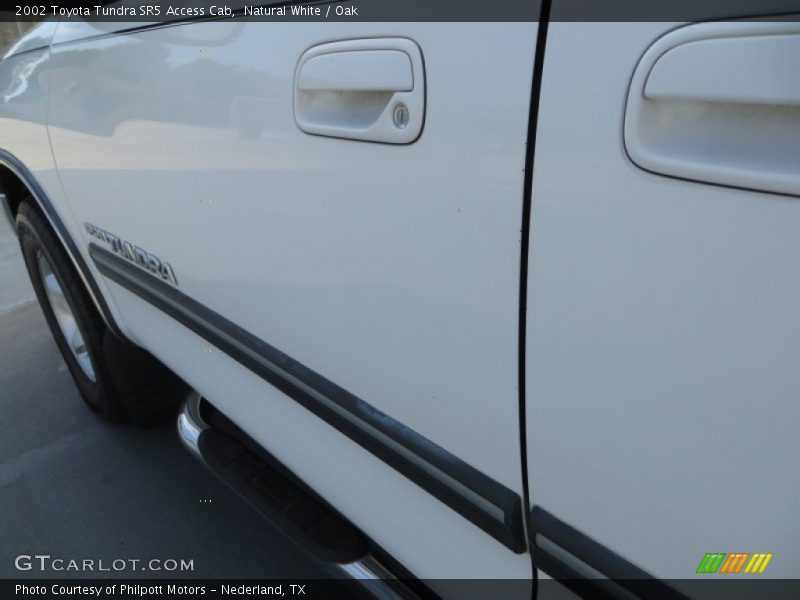 Natural White / Oak 2002 Toyota Tundra SR5 Access Cab