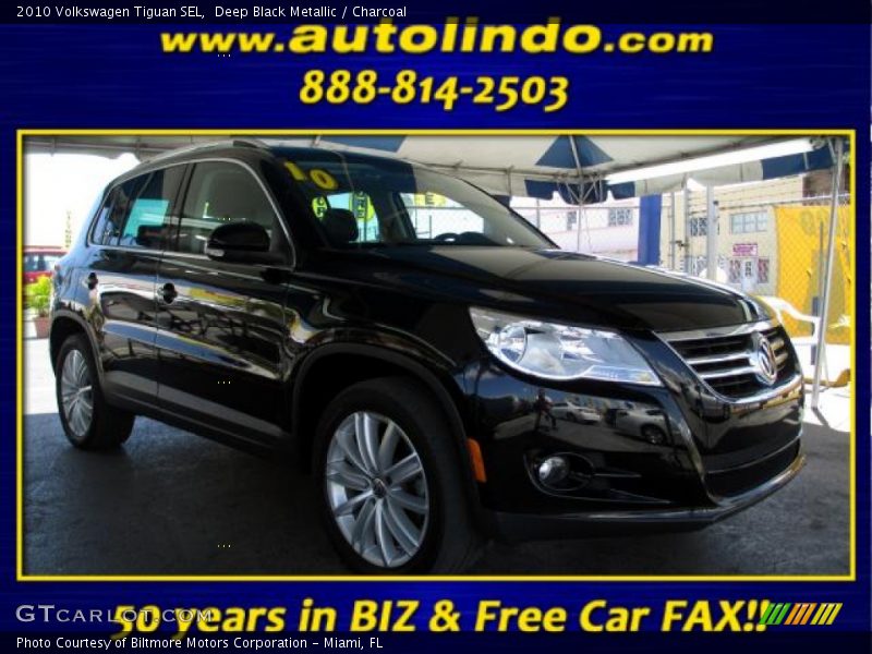 Deep Black Metallic / Charcoal 2010 Volkswagen Tiguan SEL