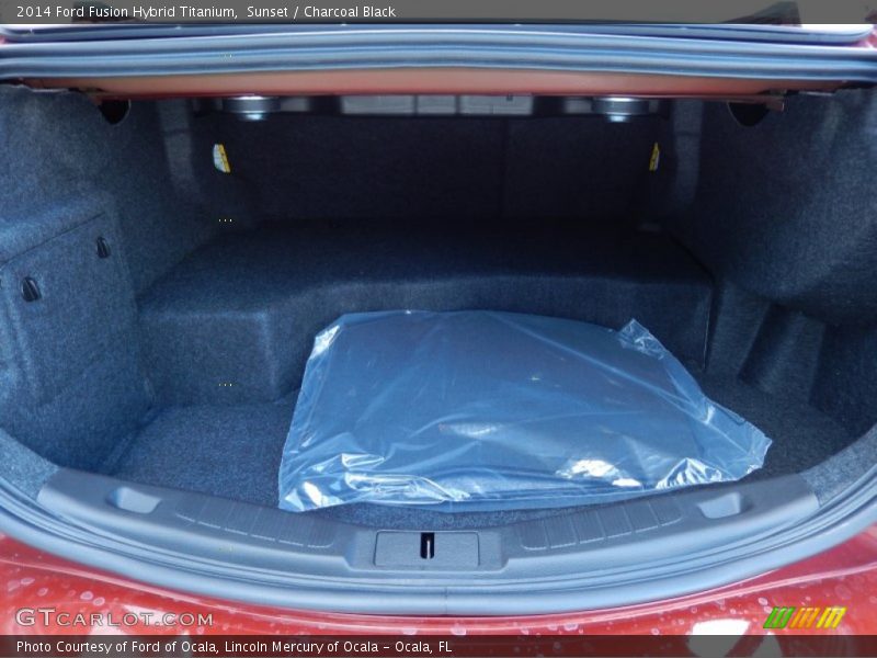  2014 Fusion Hybrid Titanium Trunk