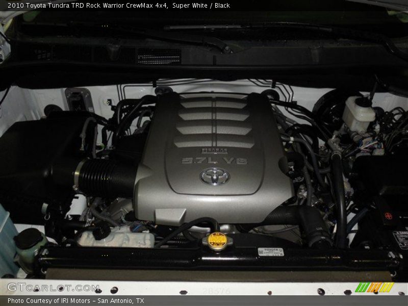 Super White / Black 2010 Toyota Tundra TRD Rock Warrior CrewMax 4x4