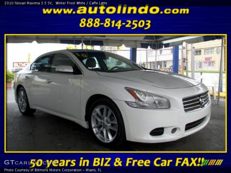 Winter Frost White / Caffe Latte 2010 Nissan Maxima 3.5 SV