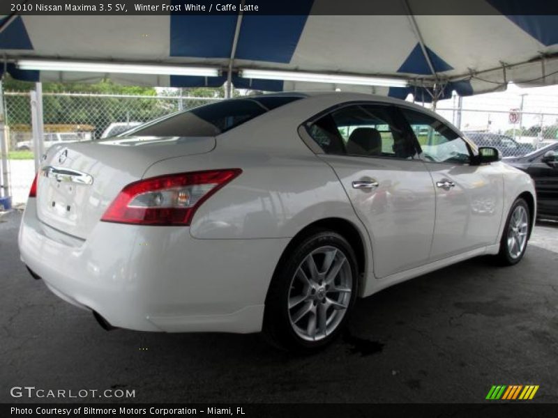 Winter Frost White / Caffe Latte 2010 Nissan Maxima 3.5 SV