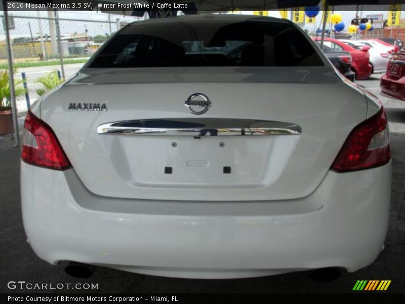 Winter Frost White / Caffe Latte 2010 Nissan Maxima 3.5 SV