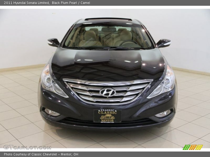 Black Plum Pearl / Camel 2011 Hyundai Sonata Limited
