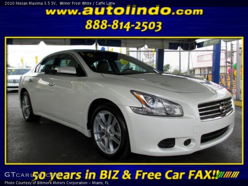 Winter Frost White / Caffe Latte 2010 Nissan Maxima 3.5 SV