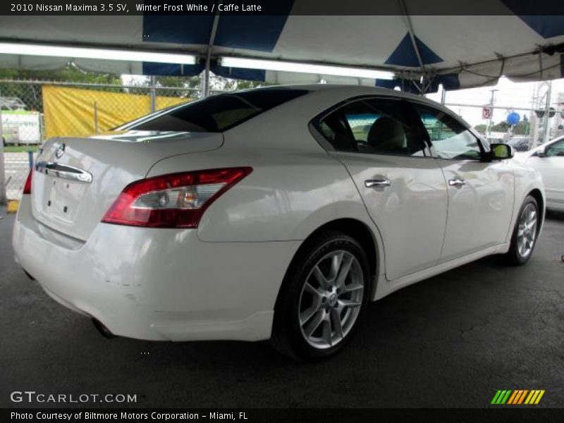 Winter Frost White / Caffe Latte 2010 Nissan Maxima 3.5 SV