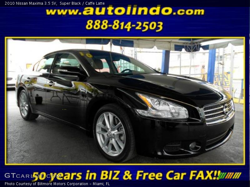 Super Black / Caffe Latte 2010 Nissan Maxima 3.5 SV