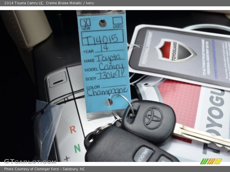 Creme Brulee Metallic / Ivory 2014 Toyota Camry LE