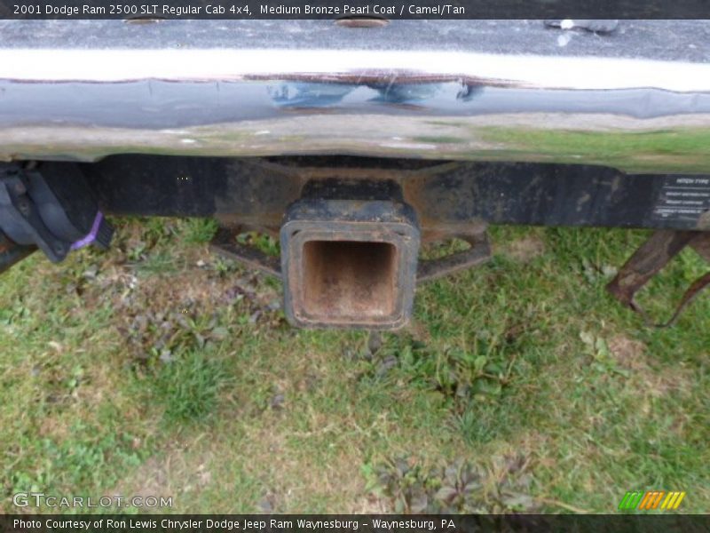 Medium Bronze Pearl Coat / Camel/Tan 2001 Dodge Ram 2500 SLT Regular Cab 4x4