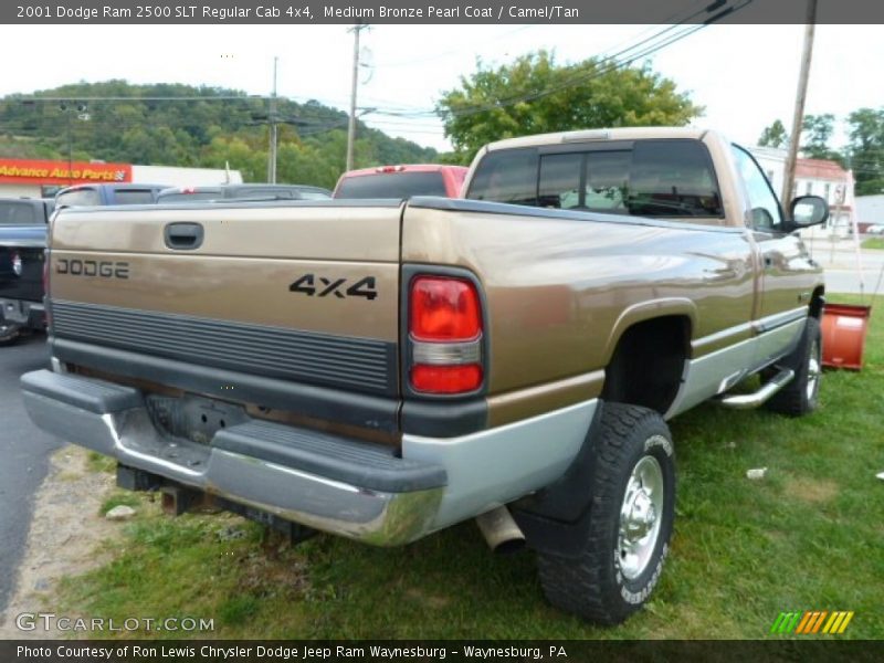 Medium Bronze Pearl Coat / Camel/Tan 2001 Dodge Ram 2500 SLT Regular Cab 4x4