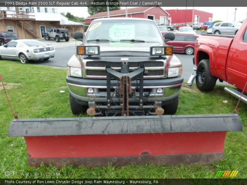Medium Bronze Pearl Coat / Camel/Tan 2001 Dodge Ram 2500 SLT Regular Cab 4x4
