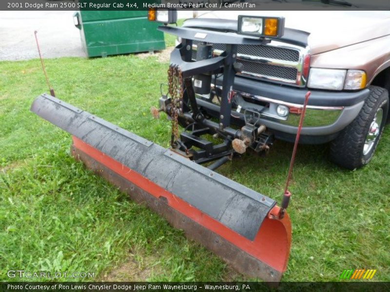 Medium Bronze Pearl Coat / Camel/Tan 2001 Dodge Ram 2500 SLT Regular Cab 4x4