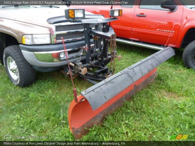 Medium Bronze Pearl Coat / Camel/Tan 2001 Dodge Ram 2500 SLT Regular Cab 4x4