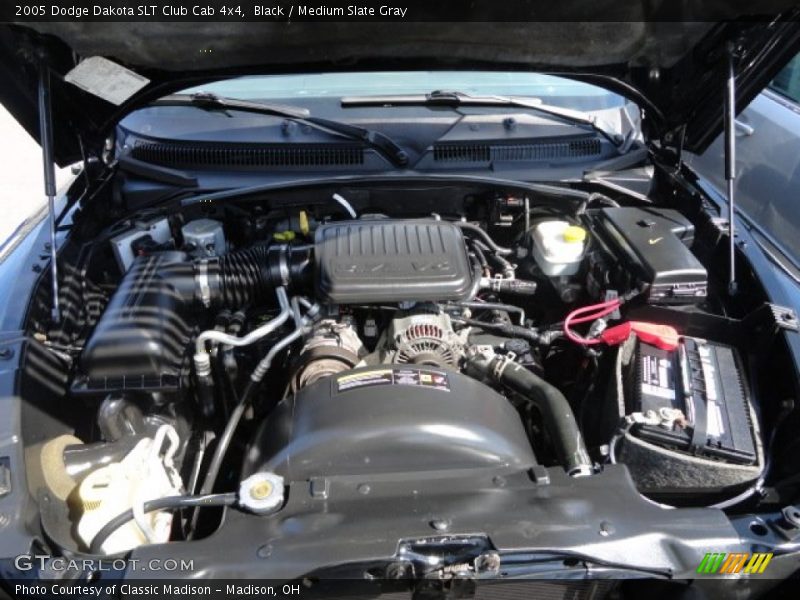 Black / Medium Slate Gray 2005 Dodge Dakota SLT Club Cab 4x4