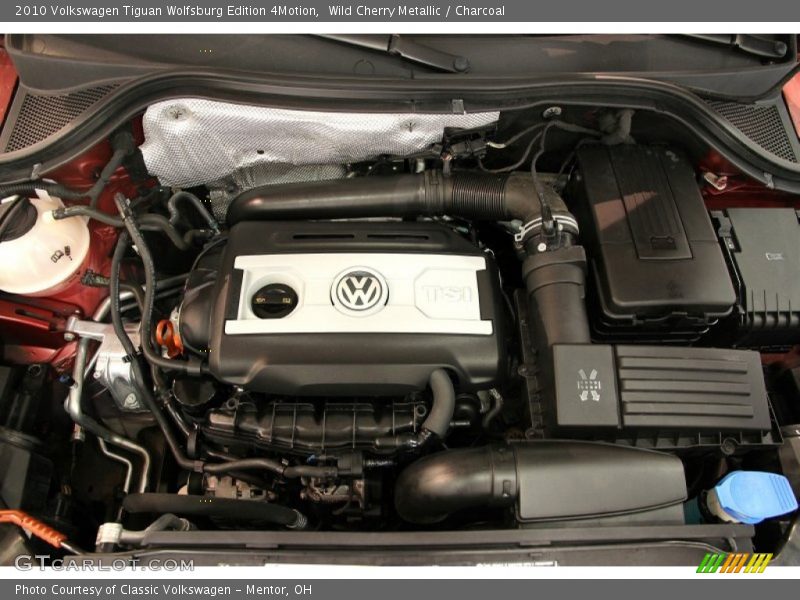 Wild Cherry Metallic / Charcoal 2010 Volkswagen Tiguan Wolfsburg Edition 4Motion