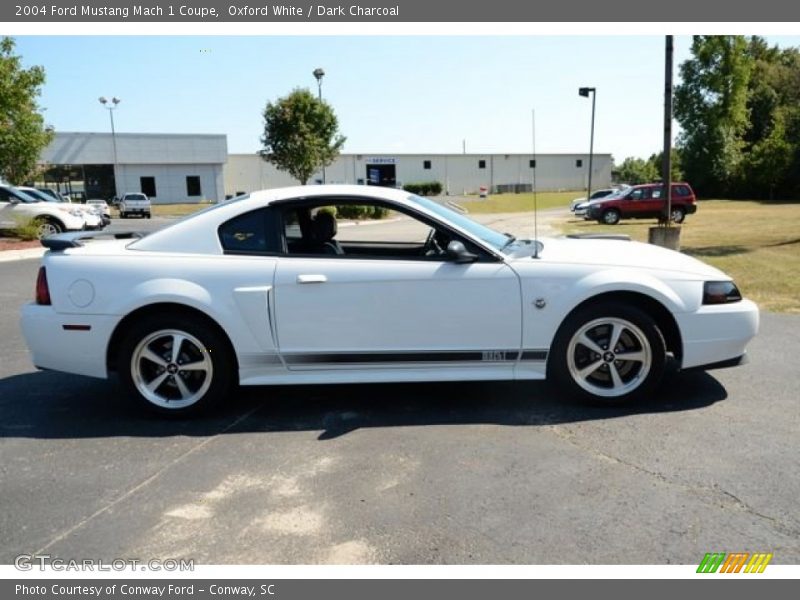 Oxford White / Dark Charcoal 2004 Ford Mustang Mach 1 Coupe