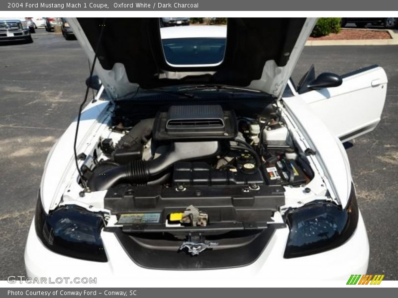Oxford White / Dark Charcoal 2004 Ford Mustang Mach 1 Coupe