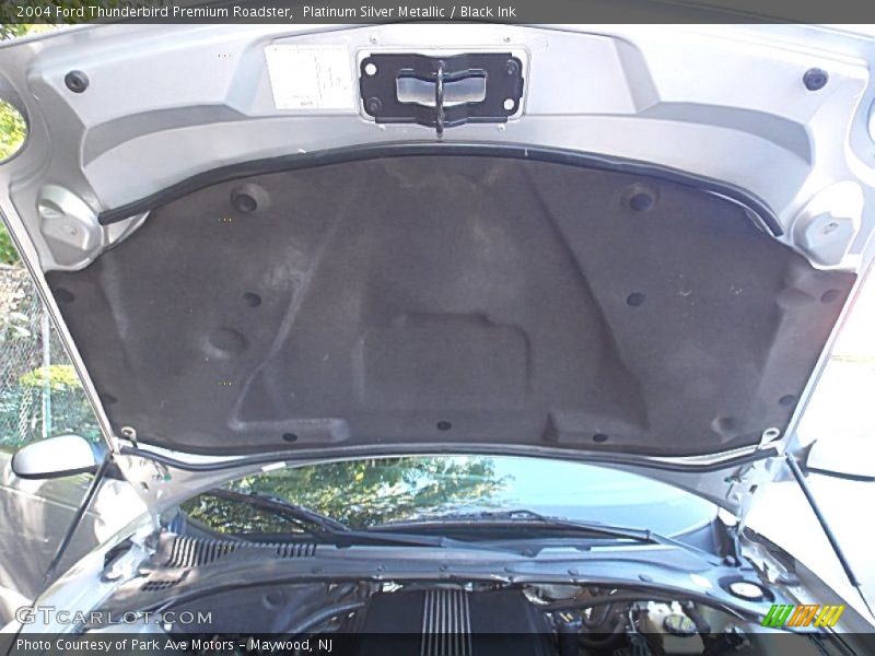 Platinum Silver Metallic / Black Ink 2004 Ford Thunderbird Premium Roadster