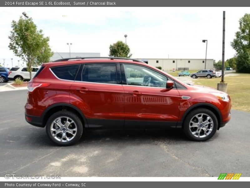 Sunset / Charcoal Black 2014 Ford Escape SE 1.6L EcoBoost