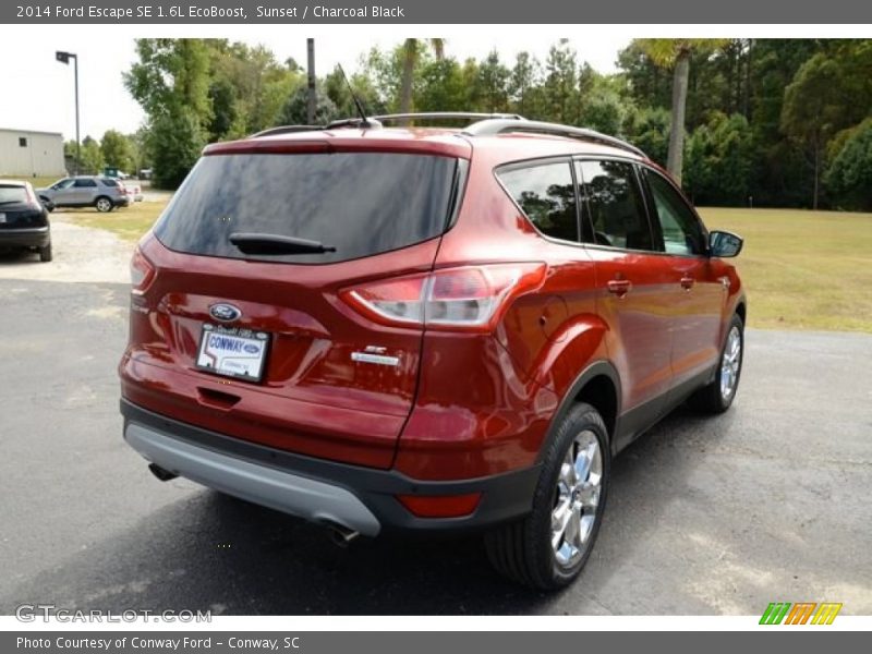 Sunset / Charcoal Black 2014 Ford Escape SE 1.6L EcoBoost
