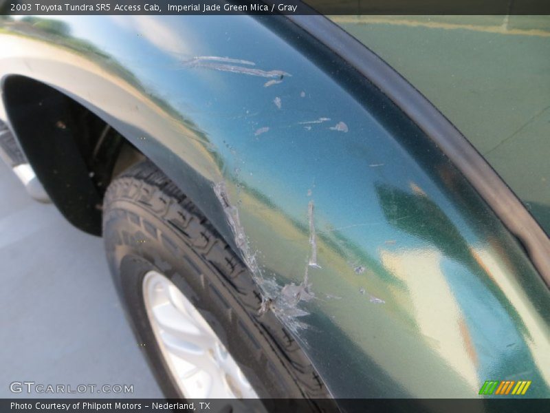 Imperial Jade Green Mica / Gray 2003 Toyota Tundra SR5 Access Cab