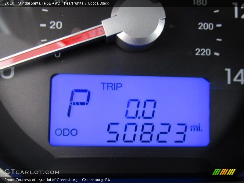 Pearl White / Cocoa Black 2010 Hyundai Santa Fe SE 4WD