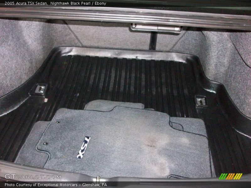 Nighthawk Black Pearl / Ebony 2005 Acura TSX Sedan