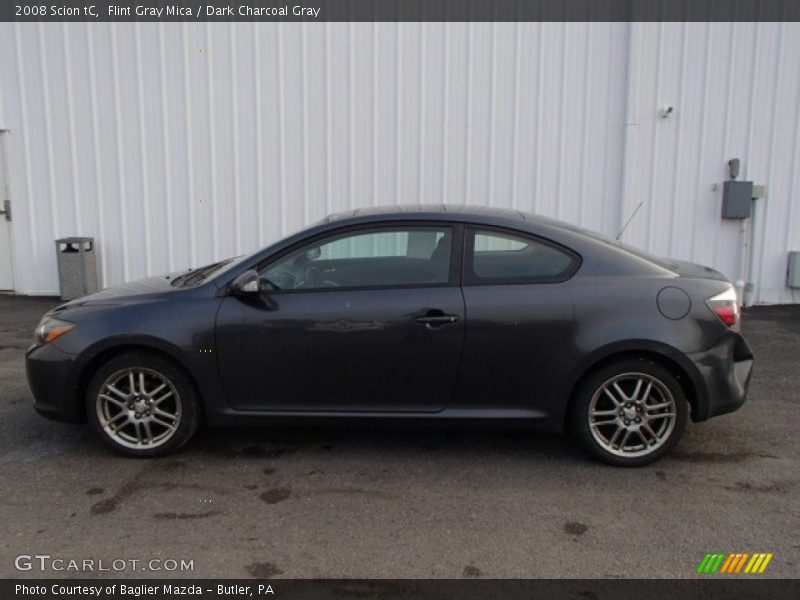 Flint Gray Mica / Dark Charcoal Gray 2008 Scion tC