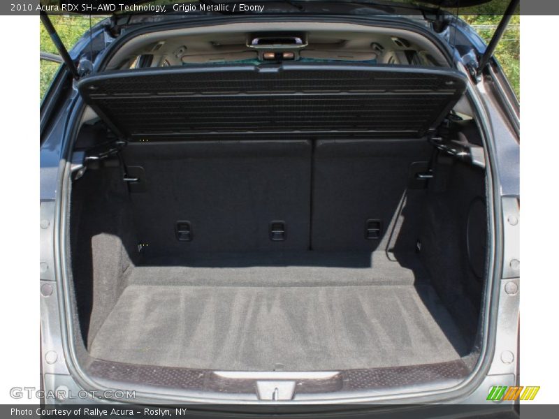 Grigio Metallic / Ebony 2010 Acura RDX SH-AWD Technology