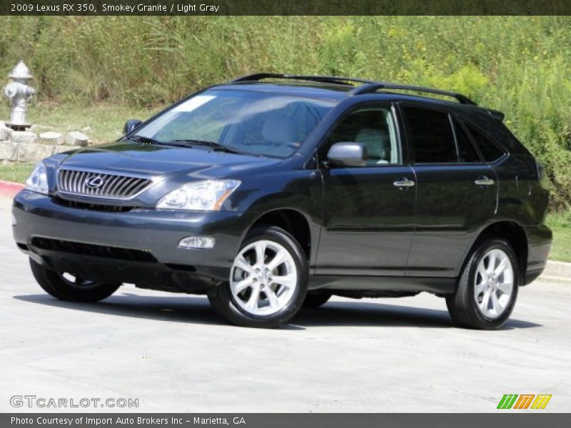 Smokey Granite / Light Gray 2009 Lexus RX 350