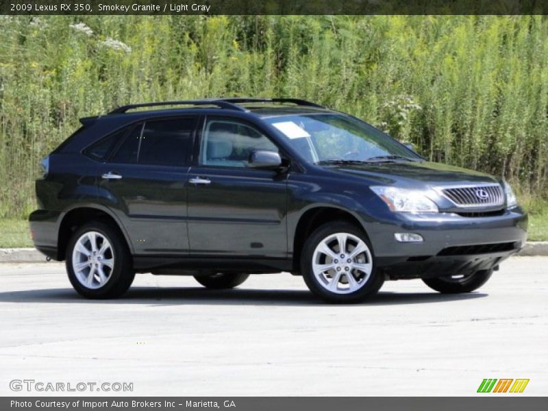 Smokey Granite / Light Gray 2009 Lexus RX 350